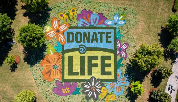 Donate Life: Mural painted on lawn in front of Duke Hospital