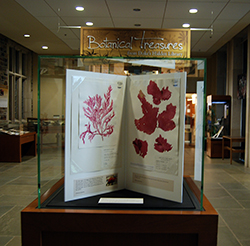The Botanical Treasures exhibit will remain in Perkins Library until July 14. Photo by Marsha A. Green.