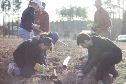 Duke staff and students plant a row at the Duke Campus Farm