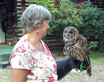 Duke medical technologist Celeste McKnight lets barred owl Athena perch on her arm. She regularly volunteers at the Piedmont Wildlife Center. Photo courtesy of Celeste McKnight