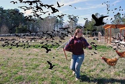 Duke Campus Farm's Emily McGinty and volunteers were chased by aggressive birds last Friday, halting planting and scattering individuals in the woods.