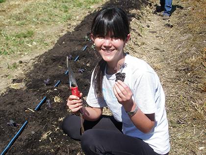 Liz McInerney, a senior research aide at the Center for Child and Family Policy, tries to volunteer at the Duke Campus Farm once a month. All Duke community members are welcome to help at the one-acre farm to learn more about agriculture and how to grow 