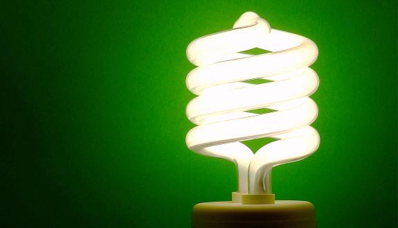 A lightbulb against a green backdrop.