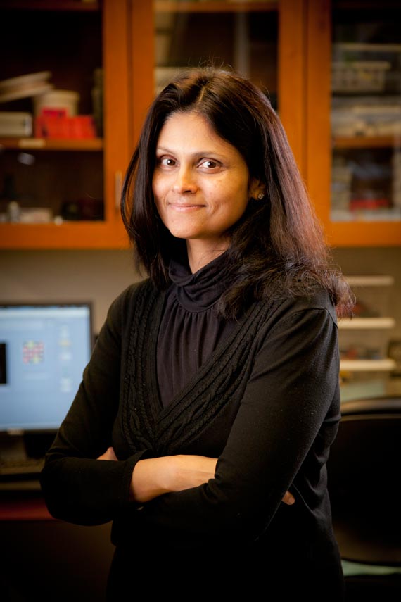 Engineer Nimmi Ramanujam’s team at Duke is thinking small to provide better health care to women across the developing world.