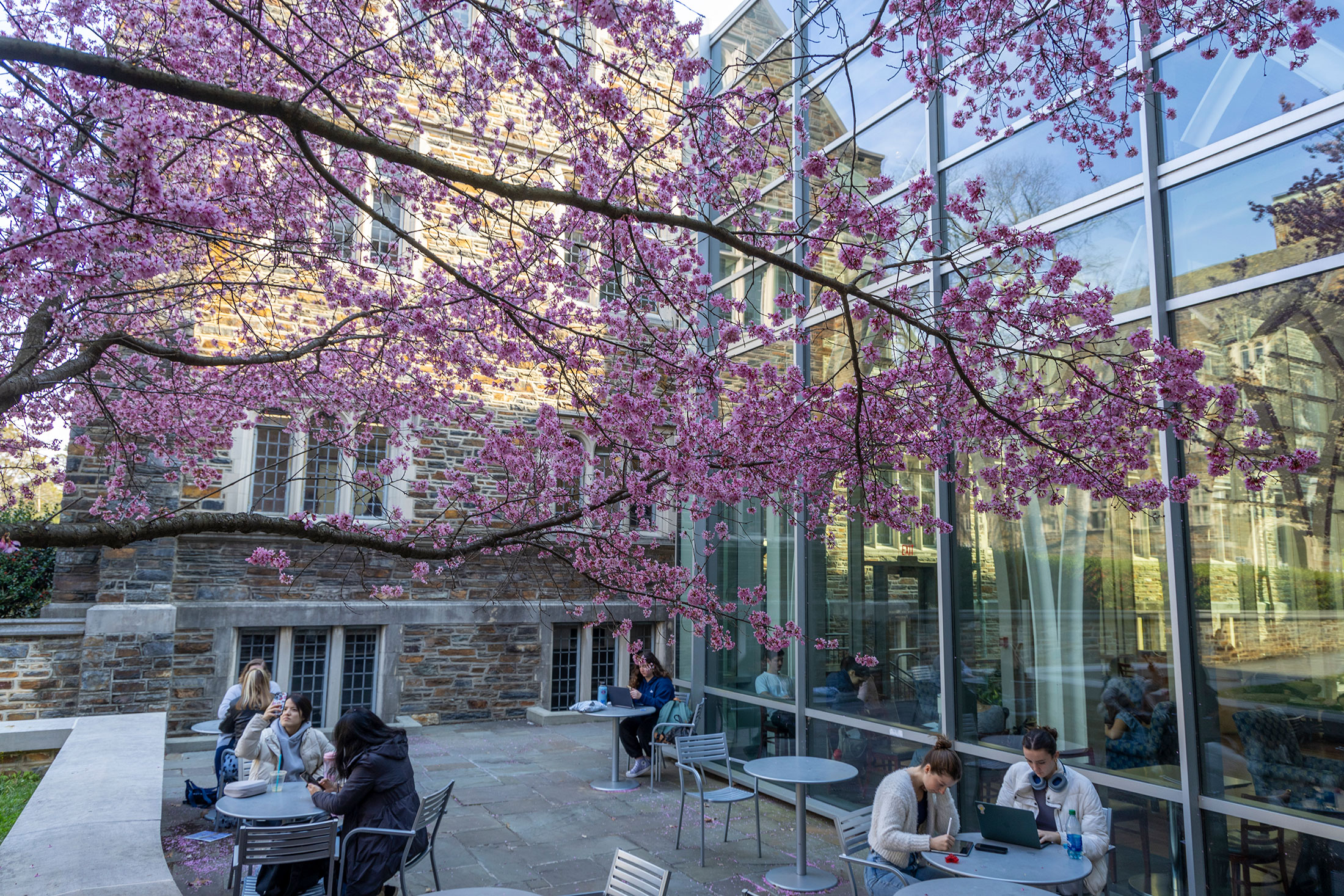 Students enjoy the colors and warmth of spring on West Campus