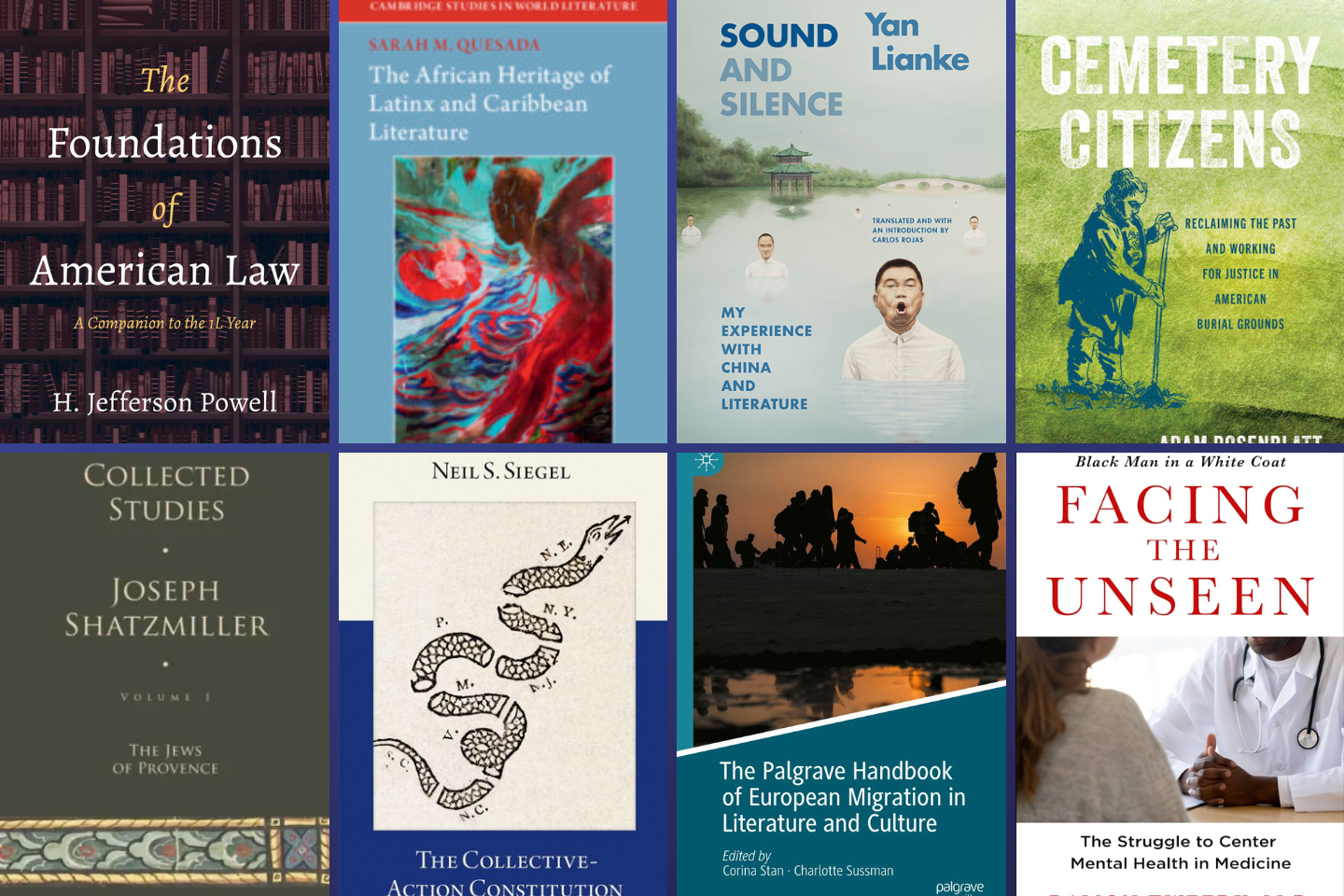 Books: Foundations of American Law; The African Heritage of Latinx and Caribbean Literature; Sound and Silence; The Jews in Provence, The Collective-Action Constitution; The Palgrave Handbook of European Migration in Literature and Culture; Facing the Unseen; 
