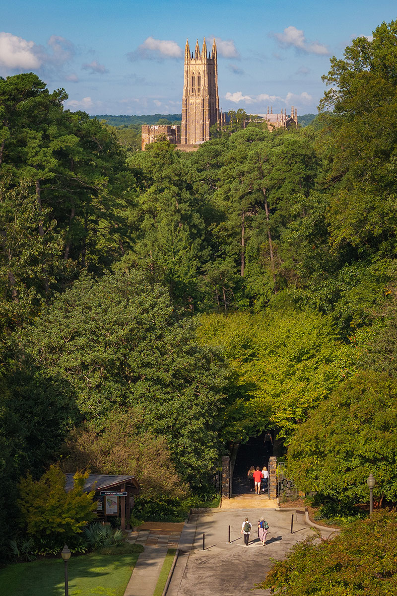 The current entrance to Duke Gardens through the Cherry Allée.