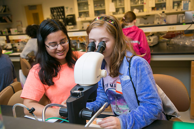 Students sit at a lab bench and look through a microscope