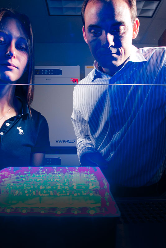 Charlie Gersbach with a person standing next to him looking down at a square of lit up test tubes