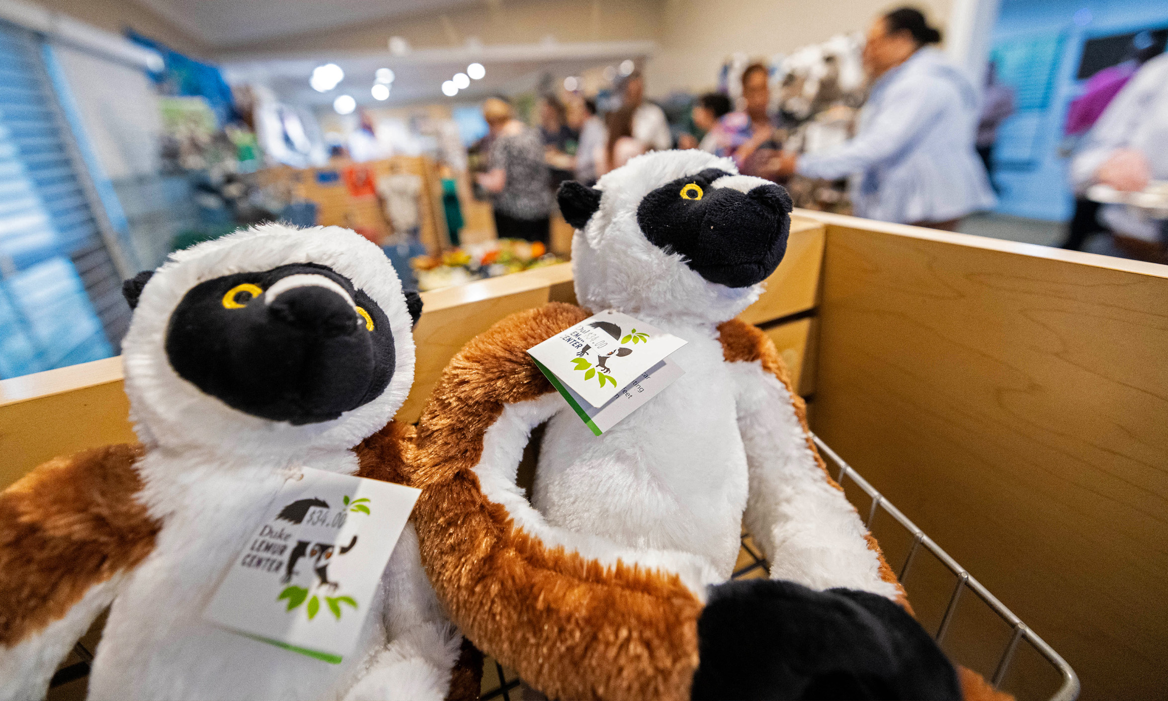 Two stuffed animal lemurs are in the foreground of a networking event where people mill about in the background