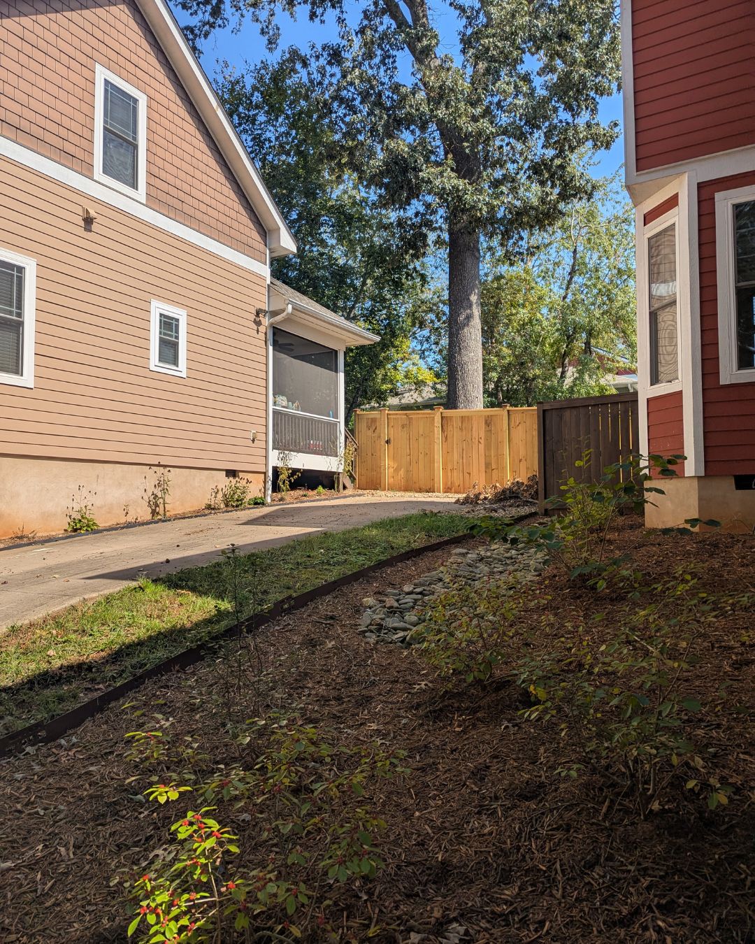 a view of Karen Benke's side yard in Asheville