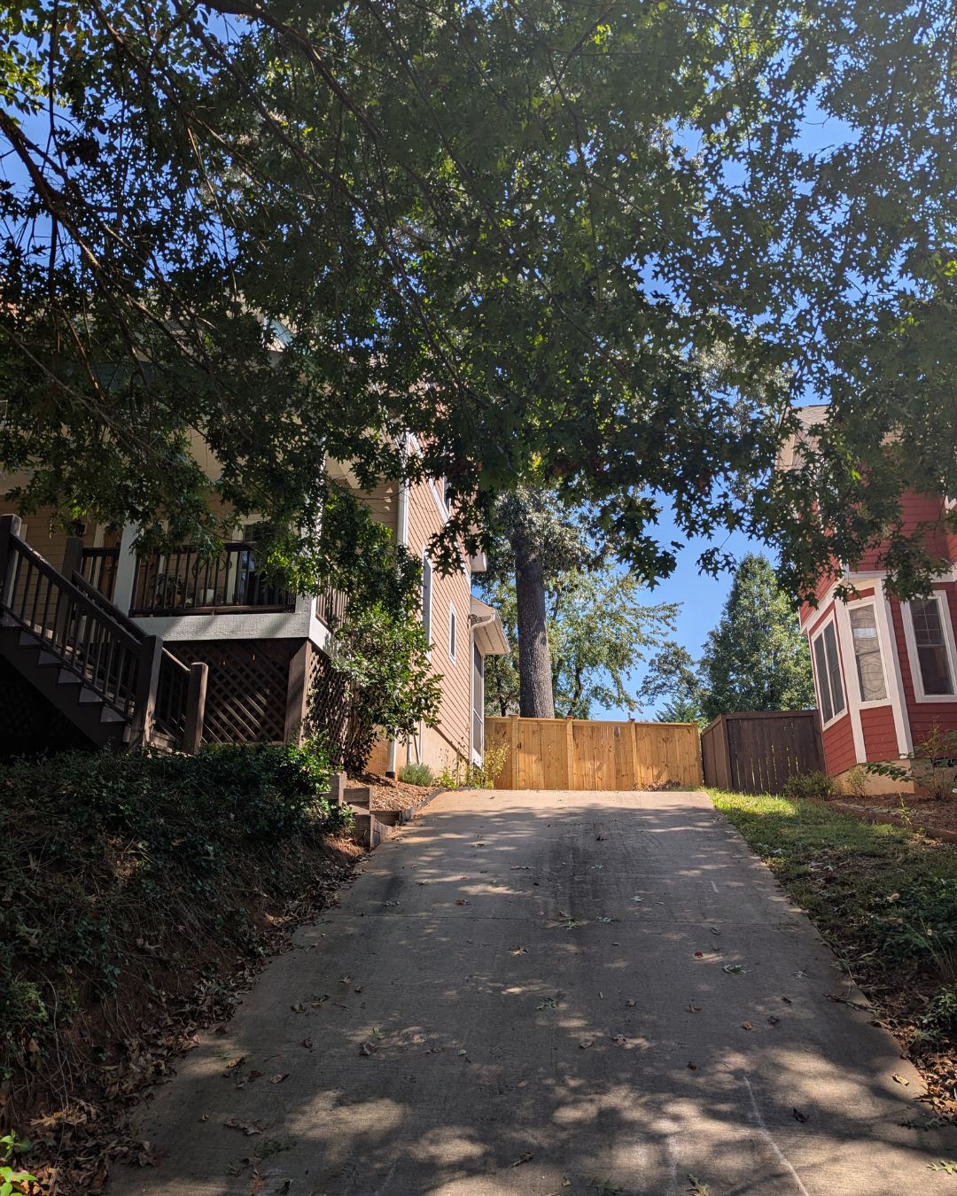 a view of Karen Benke's driveway in Asheville