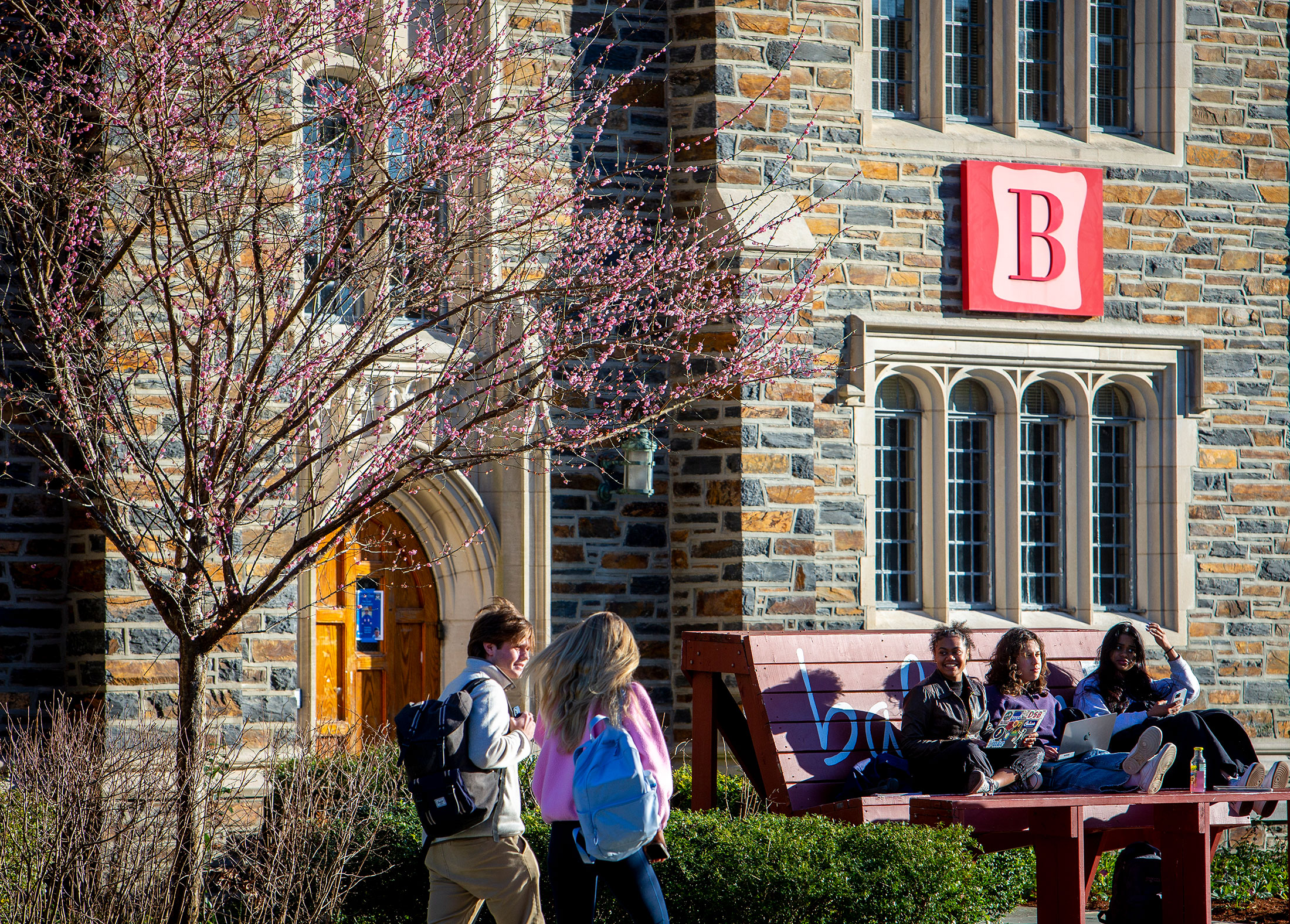 Students on Few Quad under the first signs of bursting blooms.