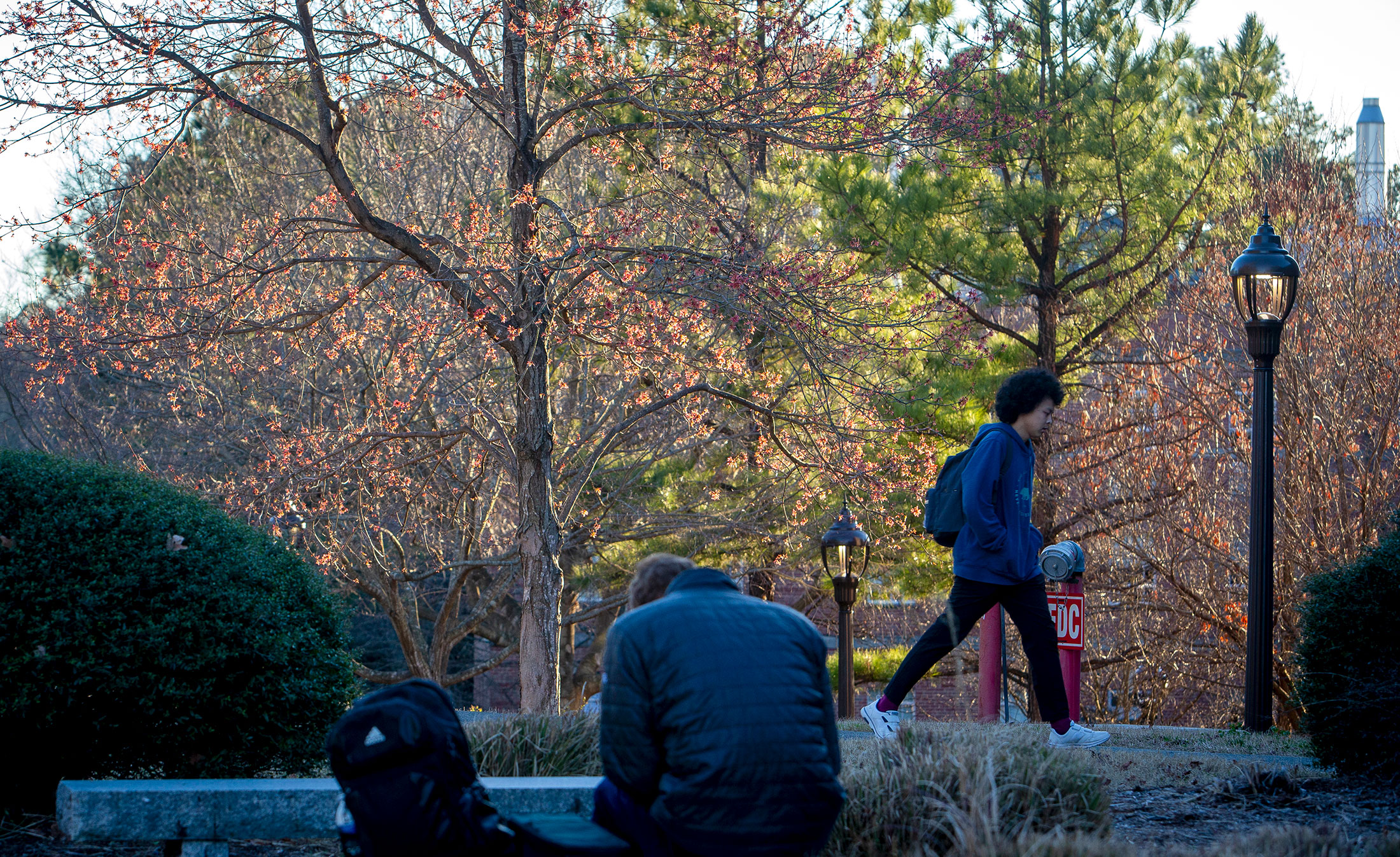 Student walking in front of the Physics Building.