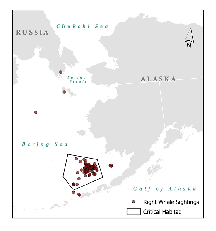 A map showing critical habitat of the North Pacific Right Whale with sightings as red dots. (NOAA)
