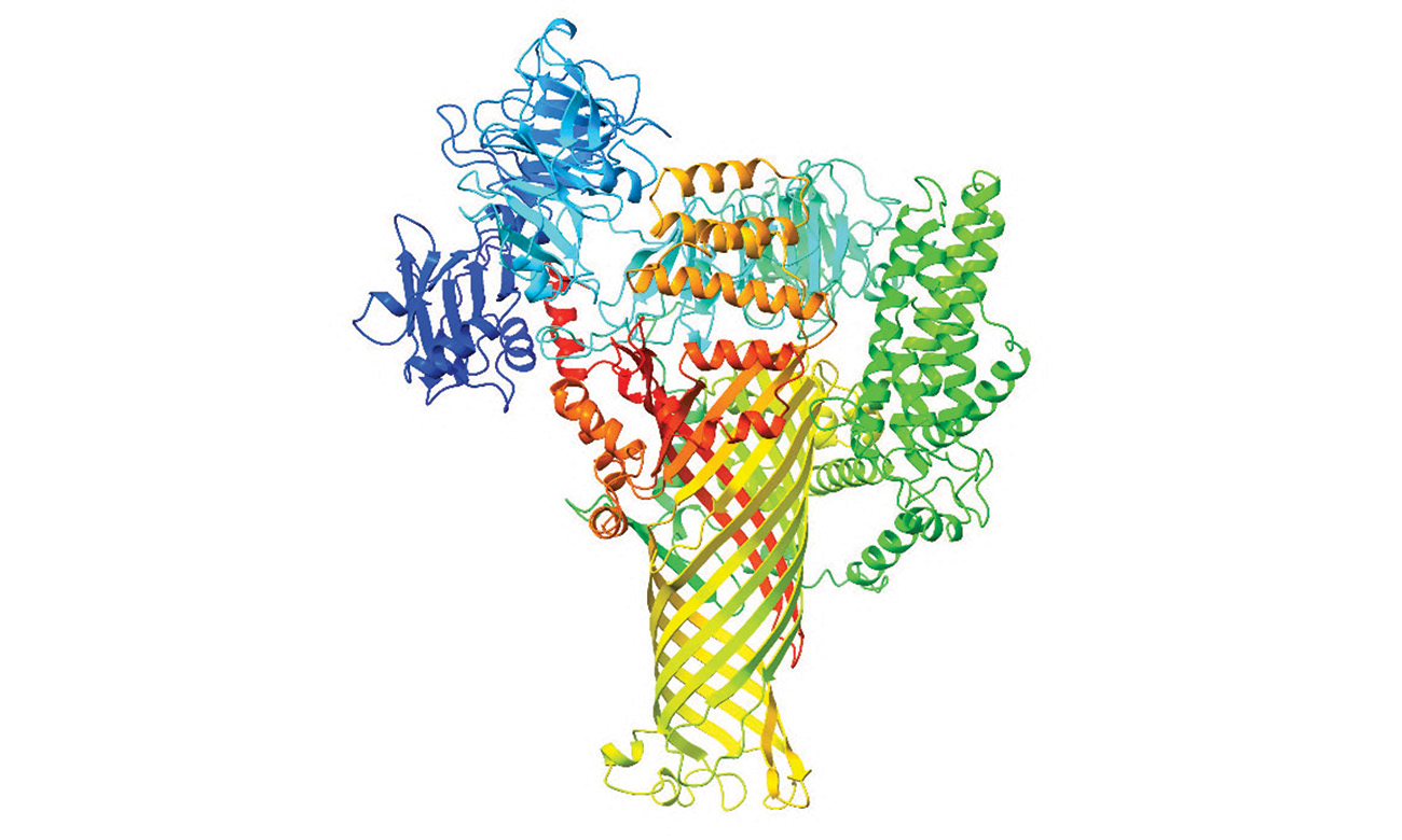 Mysterious Family of Microbial Proteins Hijack Crops’ Cellular Plumbing