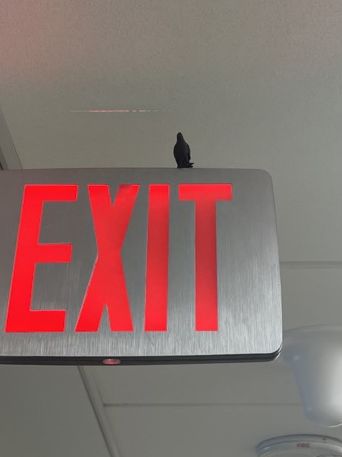 A 3D printed crow sits on top of an exit sign