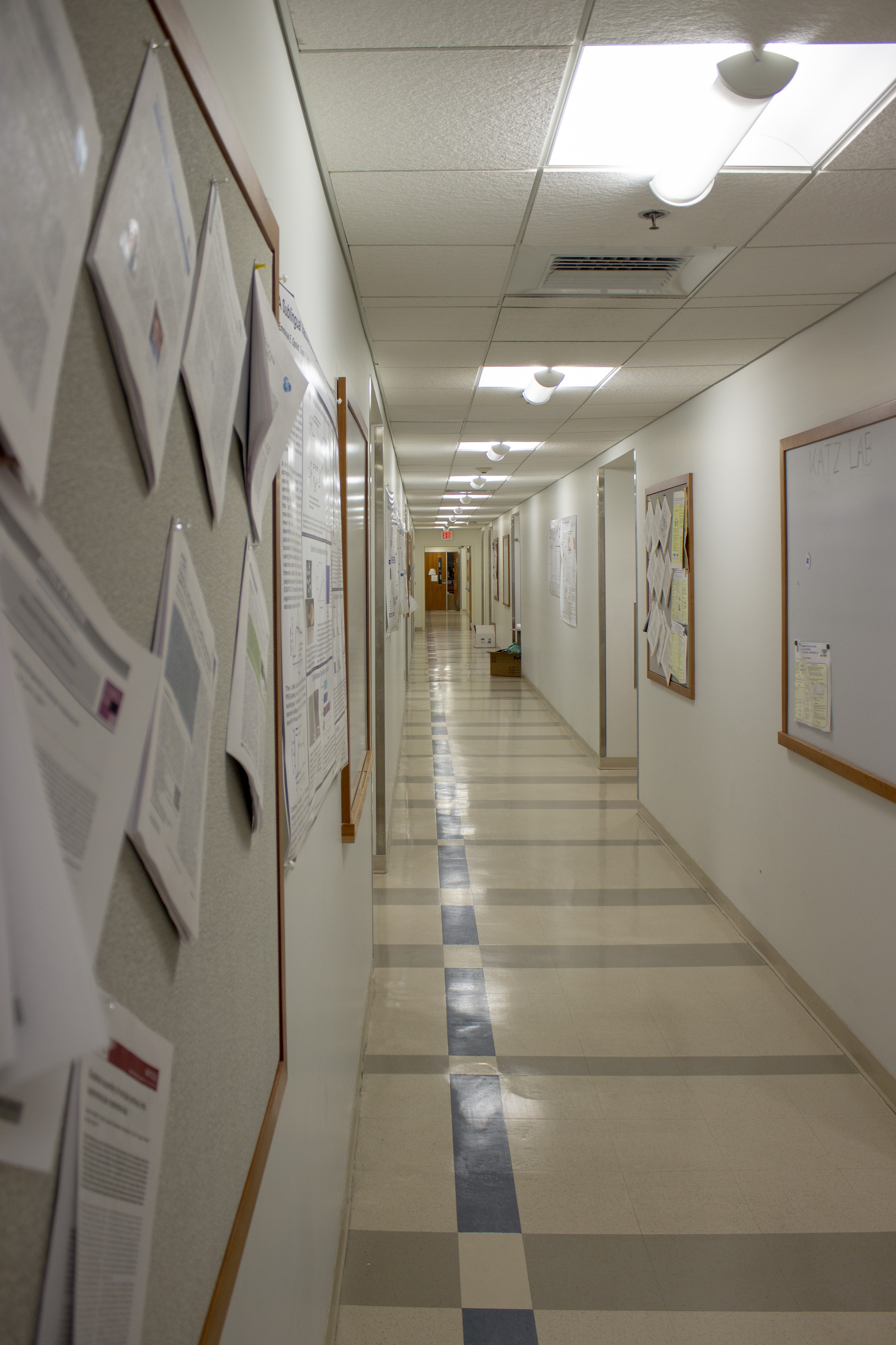 An empty corridor in the Fizpatrick CIEMAS laboratory building shortly after labs reopened from the COVID shutdown