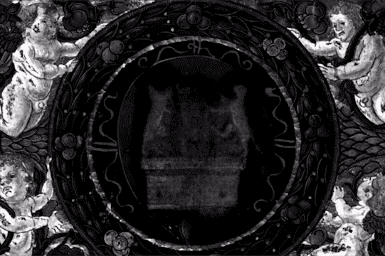 A series of black and white images showing an ancient crest under MSI