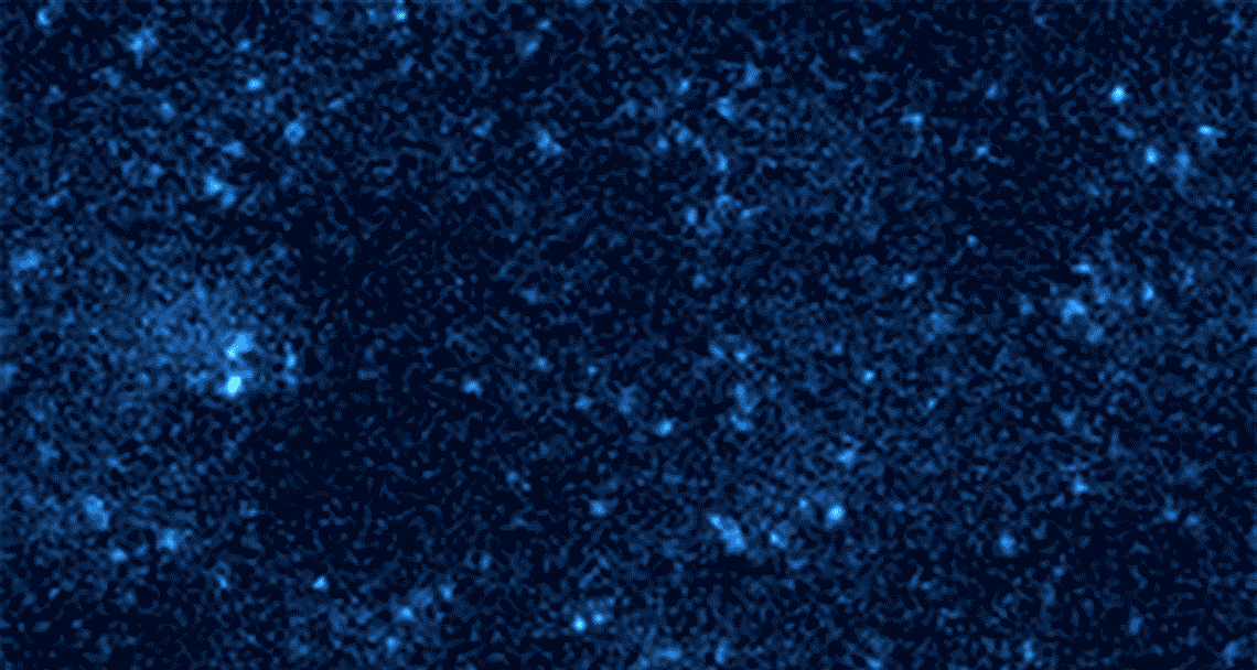 These tiny points of light might look like stars twinkling in the sky. But in reality they’re different molecules of light-up DNA, blinking on and off as they bind and unbind under a microscope. Courtesy of Shalin Shah, Duke University.