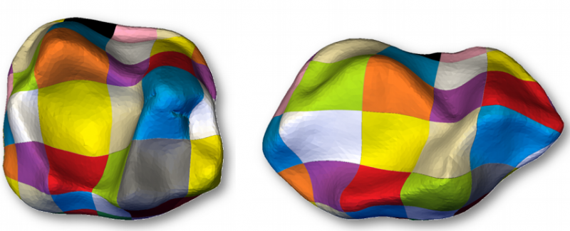 Comparing 3-D surfaces of bones and teeth