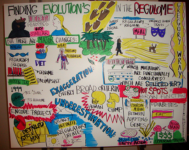 Artist Perrin Ireland created posters about Greg Wray's research and other conference presenters while they spoke.