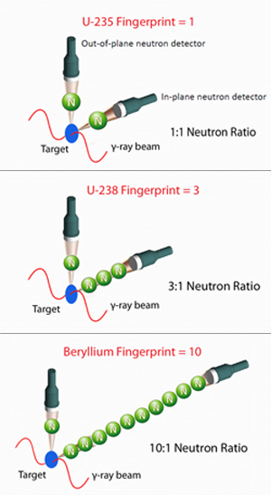 neutron fingerprints