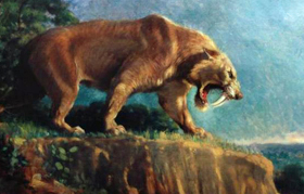 Painting of Smilodon from the American Museum of Natural History 