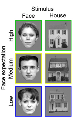 face and house images