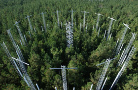 At FACE, computer-controlled valves on rings of towers are administering carbon dioxide to stands of loblolly pines 