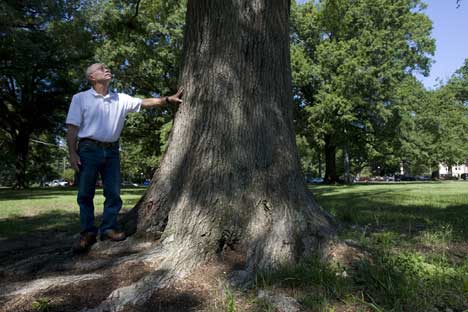 Jon Gardiner Judson Edeburn surveys one of the East Campus trees that are showing signs of age.