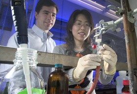 Les Todd Michael Fitzgerald, Min Wang performed 'very time consuming' experiments