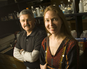 Professors Garnett Kelsoe (left) and Lindsay Cowell combined their expertises, in immunology and statistics, to uncover how genomes of white blood cells adapt to diverse germs. 