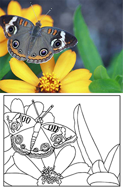 coloringbook_web_V.jpg