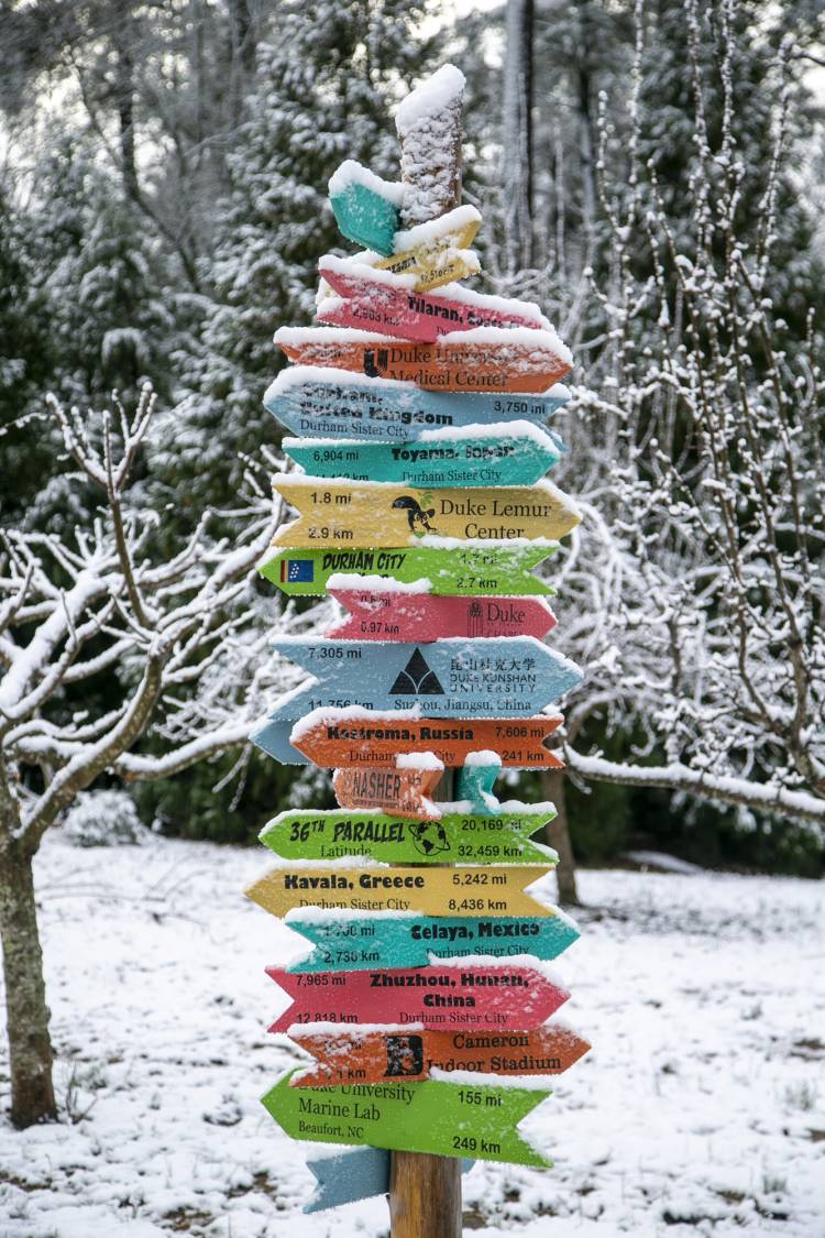 A snow-topped colorful sign that points to places and gives their mileage away from Duke. 