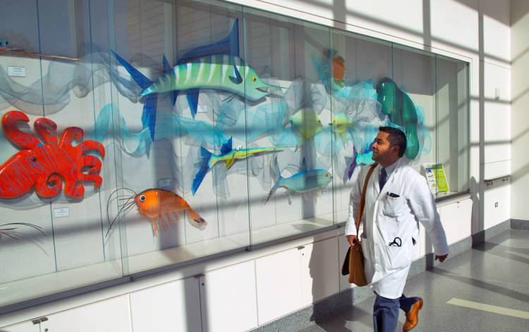 Art on display in the Duke University Hospital concourse.