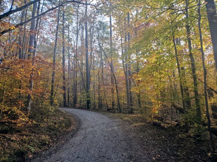 Time spent in Duke Forest can nourish the body and spirit. Photo by Brittany Nave.