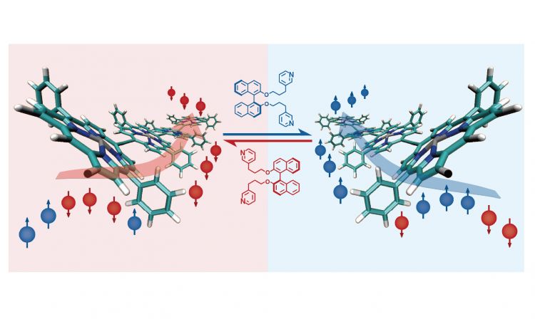 New molecular superconductor uses special chiral molecules with left or right handedness to filter electrons and transmit spin currents over long distances and at room temperature.  Credit – Ko et al. 2022