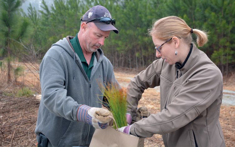 Craig Hughes, left, helps Duke Forest Director Sara Childs, right, at a tree-planting event. Photo by Jonathan Black.