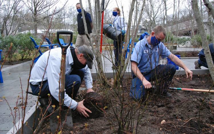 Two men put plants in the ground.