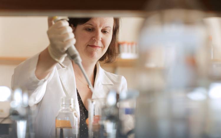 Debra Silver, associate professor for Duke Molecular Genetics and Microbiology, explored new avenues of research thanks to bridge funding from Duke.