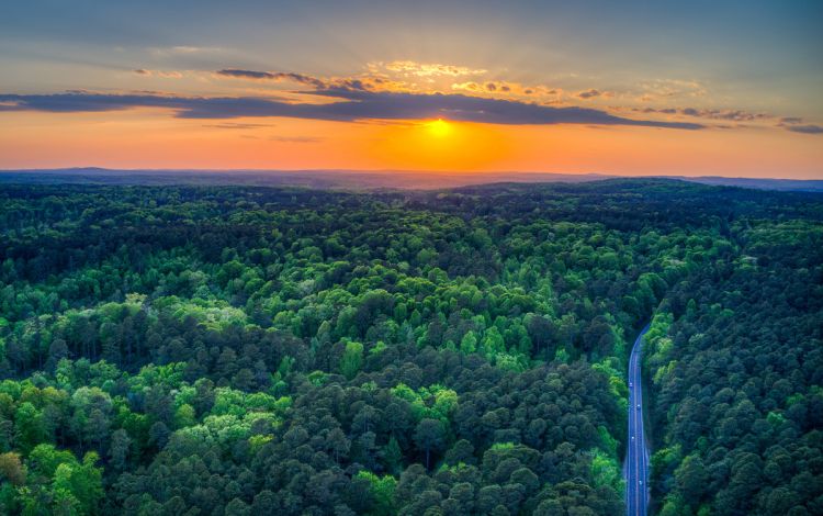 Duke Forest covers roughly 7,100 acres in Durham, Orange and Alamance Counties. Photo courtesy of University Communications. Duke Forest at sunset.
