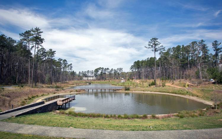 Completed in 2015, Duke Pond, which catches rainwater on West Campus, is a major part of Duke's water conservation efforts.