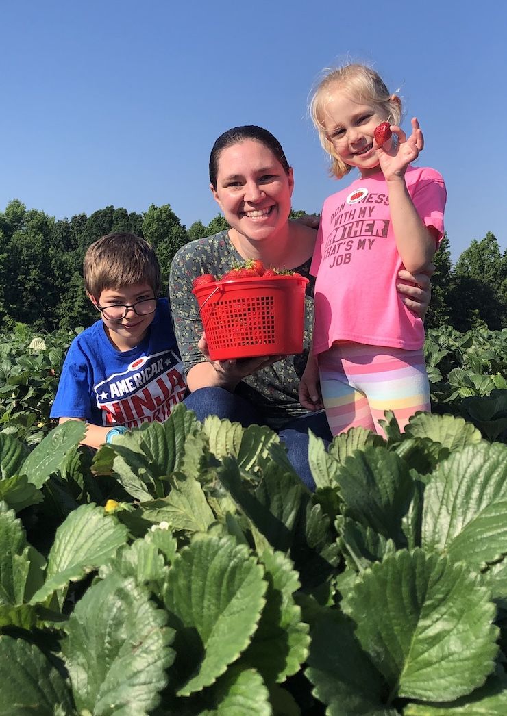 Family picking strawberries.