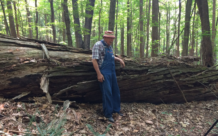 Matt Hubbard rests by the chestnut log he played on as a boy in Rock Castle Gorge (from Rock Castle Home)