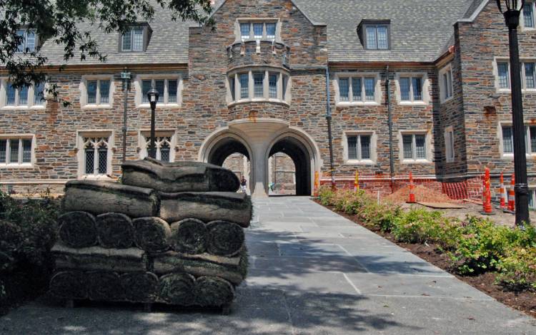 Pallets of sod wait to be installed in the Crowell Quad courtyard. Photo by Stephen Schramm.