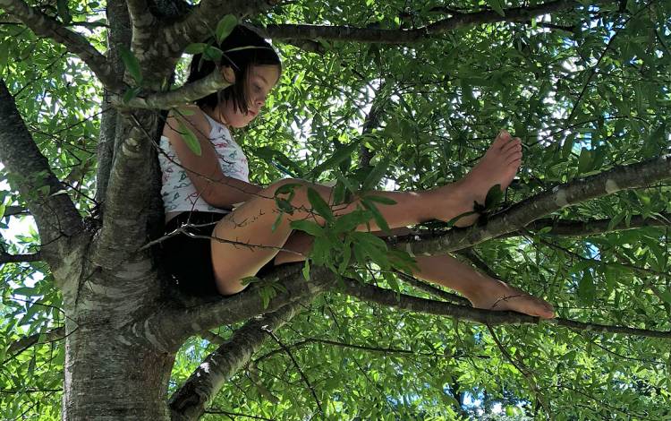Janelle Burner's daughter, Sophia, enjoys reading while perched in a tree at Stone Mountain State Park. Photo by Janelle Burner.