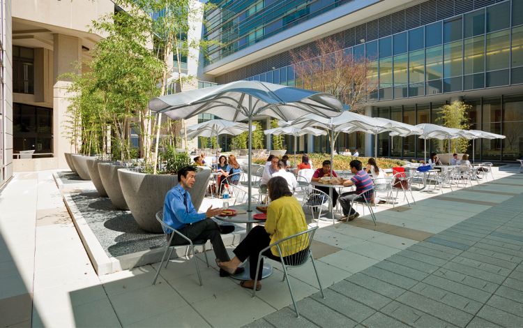 The Trent-Semans Center for Medical Education has inviting benches, ledges and quiet alcoves for faculty staff, students and patients to relax outdoors. Photo by Stephen Schramm.