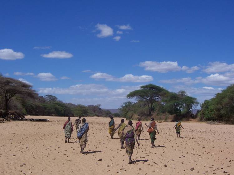 Hadza women walking in northern Tanzania. Photo by Alyssa Crittenden, University of Nevada, Las Vegas