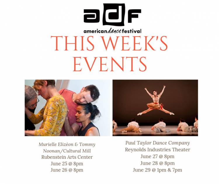 ADF week 3, Culture Mill and Paul Taylor
